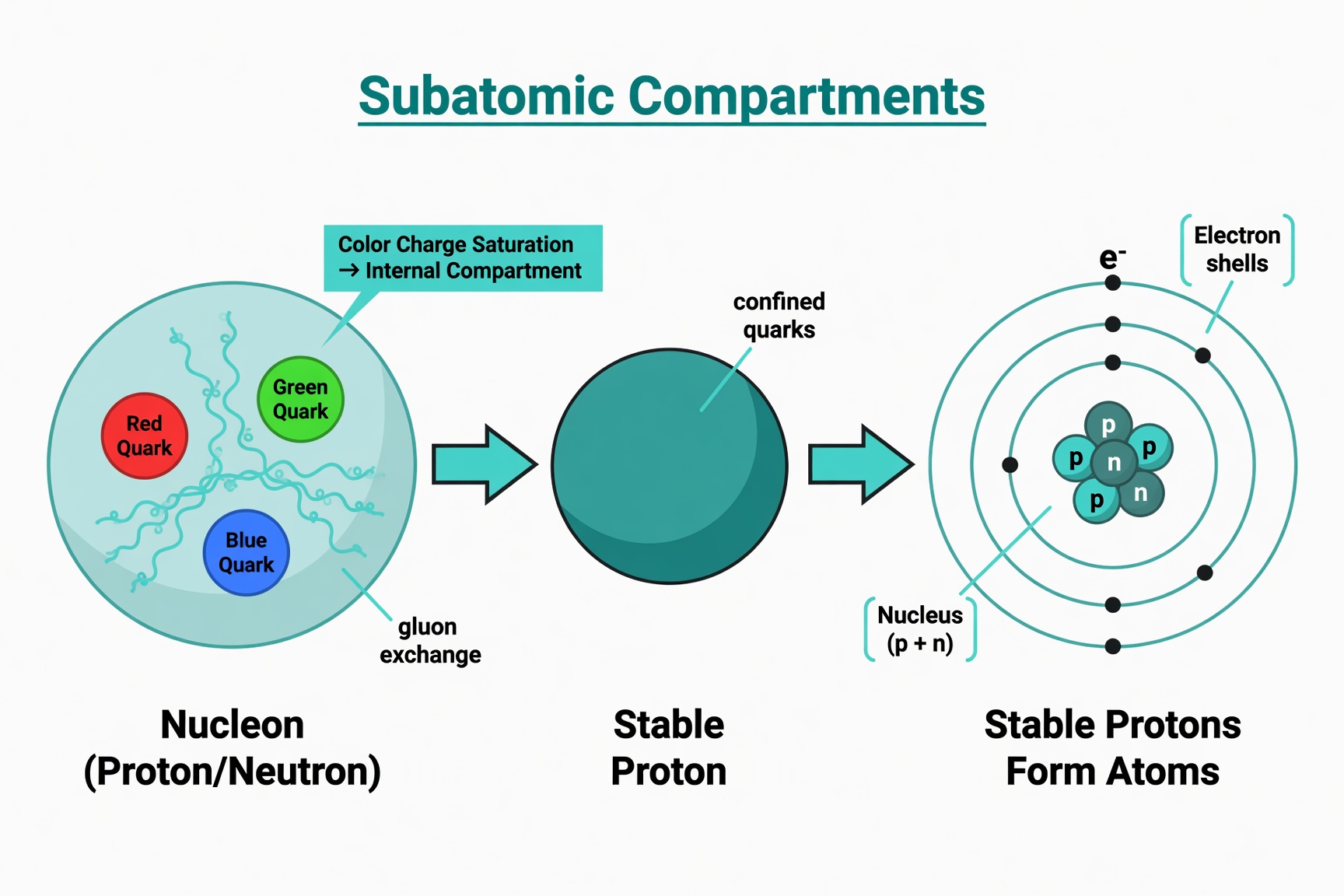 Subatomic Compartments